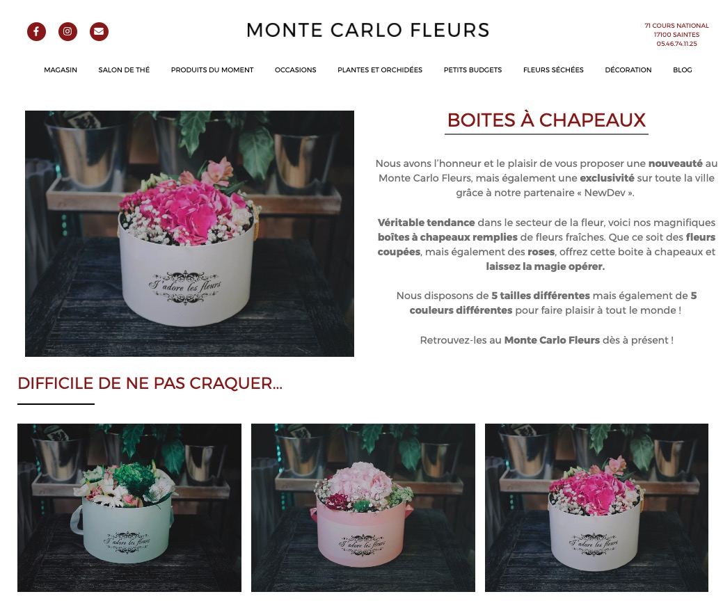 Site-internet-Monte-Carlo-Fleurs-4
